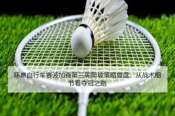 huan-yi-zi-xing-che-sai-bo-jia-cha-di-san-zhou-pa-po-ce-lve-fu-pan-cong-zhan-shu-xi-jie-kan-duo-guan-zhi-lu-2-189.jpg