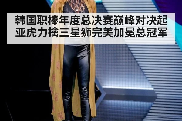 韩国职棒年度总决赛巅峰对决起亚虎力擒三星狮完美加冕总冠军